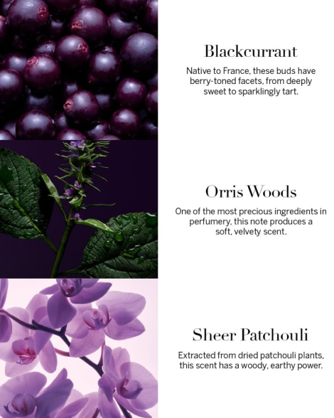 Парфюмированная вода Very Sexy Orchid Victoria's Secret 1159840716 (Фиолетовый 100 ml)