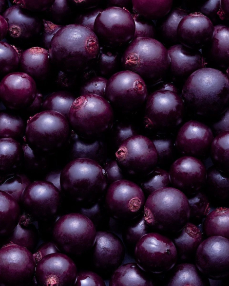 Парфюмированная вода Very Sexy Orchid Victoria's Secret 1159840716 (Фиолетовый 100 ml)