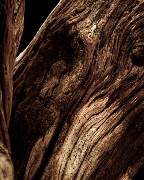 Парфюмированная вода Very Sexy Orchid Victoria's Secret 1159840716 (Фиолетовый 100 ml)