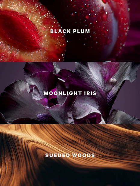 Парфумований міст Very Sexy Night Victoria's Secret 1159847255 (Фіолетовий 75 ml)