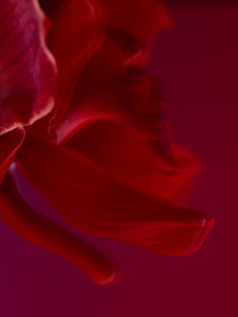 Твердый парфюм Very Sexy Victoria's Secret 1159859127 (Бордовый 3 g)