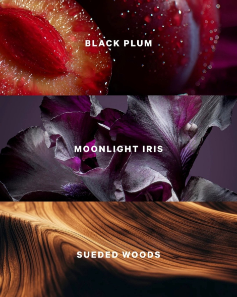 Тверда парфума Very Sexy Night Victoria's Secret 1159859131 (Фіолетовий 3 g)