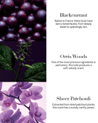 Парфюмированная вода Very Sexy Orchid Victoria's Secret 1159840716 (Фиолетовый 100 ml)