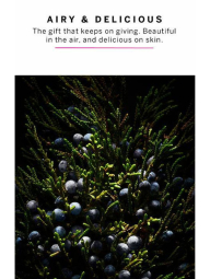 Парфюмированная вода Tease Glam Eau de Parfum Victoria's Secret парфюм 1159840923 (Розовый 100 ml)