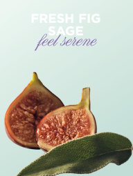Парфюмированный мист для тела и волос Fresh Fig Sage от Victoria's Secret 1159842781 (Зеленый 236 ml)