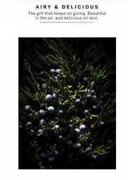 Парфюмированный мист для тела Tease Glam Victoria's Secret 1159844693 (Розовый 250 ml)