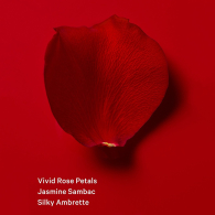 Мист для тела Very Sexy Scarlet Victoria's Secret 1159846565 (Красный 75 ml)