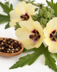 Парфумована вода Very Sexy Scarlet Victoria's Secret 1159846772 (Червоний 50 ml)