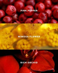 Парфюмированная вода Very Sexy Eau de Parfum Victoria's Secret 1159846906 (Бордовый 50 ml)