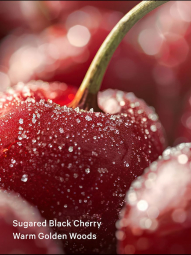 Парфюмированный мист для тела Forbidden Cherry Victoria’s Secret 1159846911 (Бордовый 250 ml)