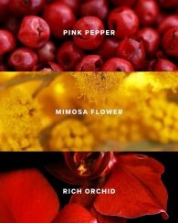 Твердый парфюм Very Sexy Victoria's Secret 1159859127 (Бордовый 3 g)