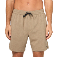 Мужские шорты для плавания GUESS на завязках 1159849078 (Бежевый L)