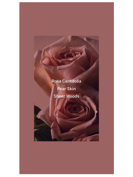 Подарунковий набір містів від Victoria's Secret 3 аромату 1159847731 (Різні кольори One Size)