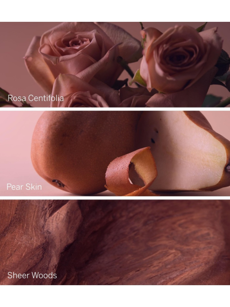 Подарунковий набір містів від Victoria's Secret 3 аромату 1159847731 (Різні кольори One Size)