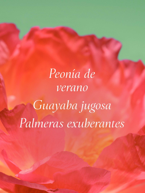 Подарочный набор Bombshell Escape от Victoria’s Secret с косметичкой 1159848156 (Зеленый One size)