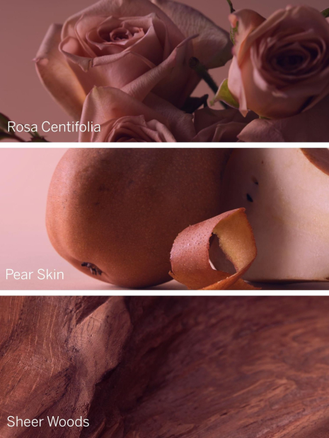 Подарочный набор Bare Rose Victoria’s Secret 1159849200 (Розовый One size)