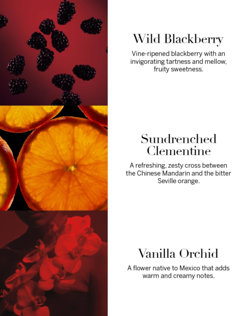 Подарочный набор Very Sexy от Victoria’s Secret для путешествий 1159849984 (Бордовый One size)