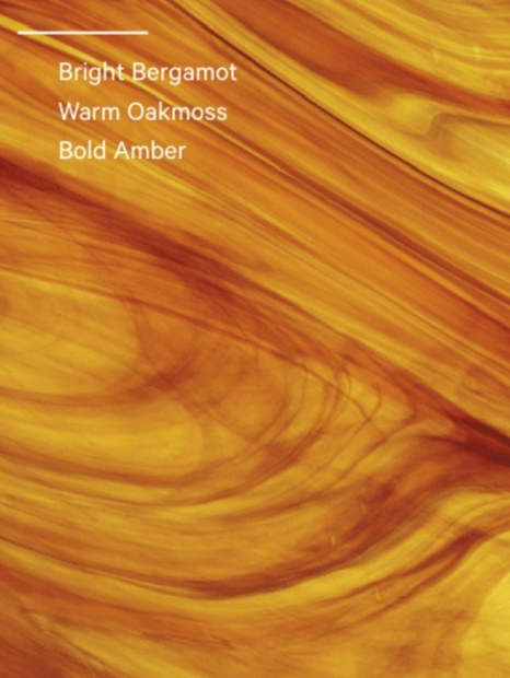 Подарочный набор Daring от Victoria’s Secret для путешествий 1159850703 (Зеленый One size)