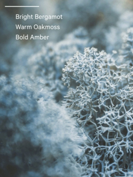 Подарочный набор Daring от Victoria’s Secret для путешествий 1159850703 (Зеленый One size)