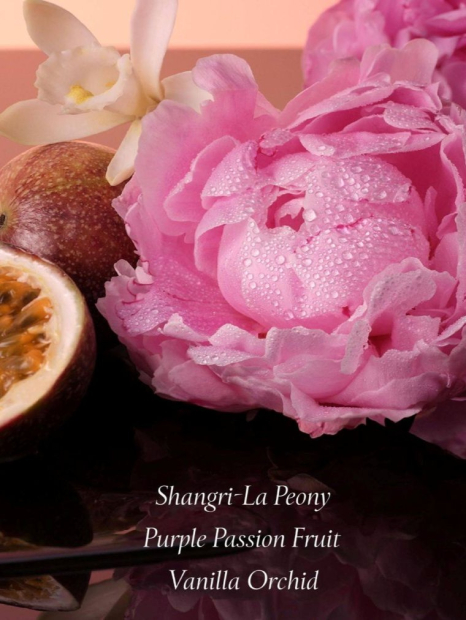 Подарочный набор Bombshell Victoria’s Secret 1159851007 (Розовый One size)