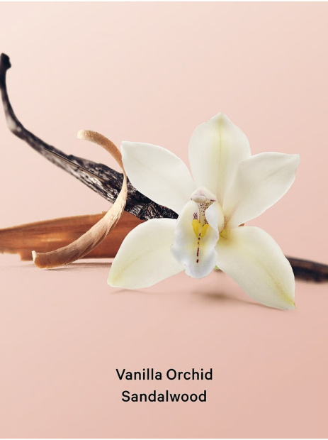 Подарочный набор Vanilla Orchid Sandalwood Victoria’s Secret мист и лосьон 1159853331 (Синий/Бежевый 88 ml/88 ml)