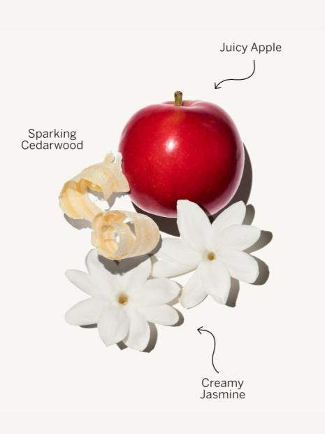 Подарунковий набір Pink by PINK Eau de Parfum Victoria's Secret Pink 1159856151 (Червоний One size)