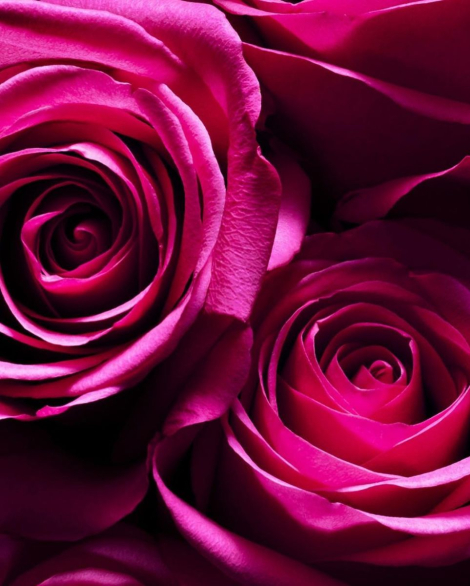 Подарочный набор от Victoria’s Secret с косметичкой 1159856209 (Розовый One size)