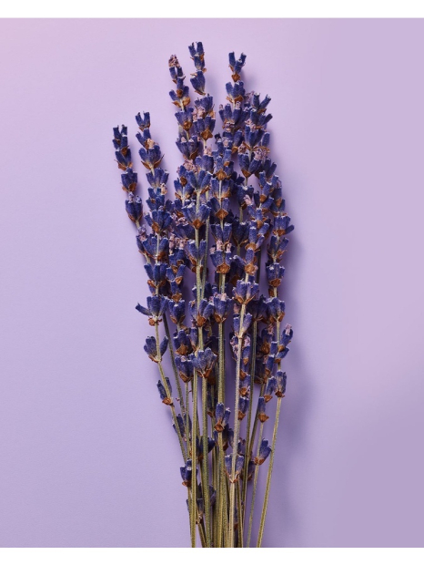 Большой подарочный набор для тела Lavender от Victoria’s Secret Pink 1159856304 (Синий One Size)