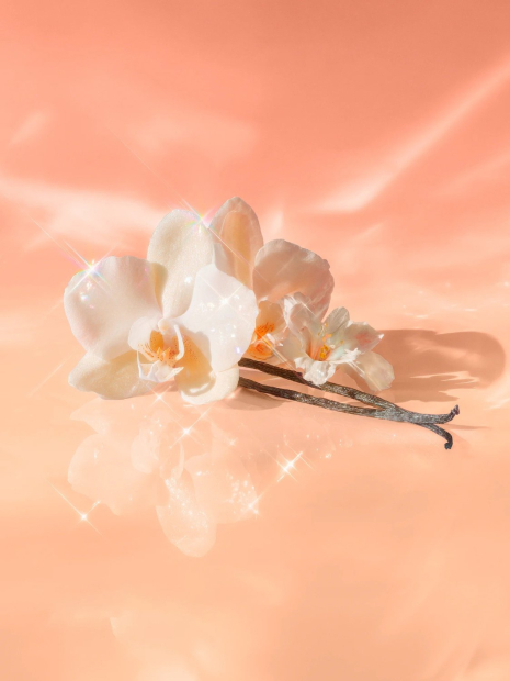 Подарочный набор Victoria’s Secret с косметичкой 1159856982 (Черный/Оранжевый One size)