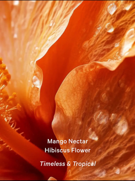 Подарочный набор от Victoria’s Secret 1159858364 (Разные цвета One size)