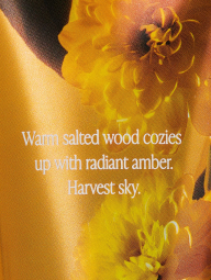 Подарочный набор от Victoria’s Secret 1159848533 (Разные цвета One size)