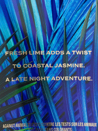 Подарочный набор от Victoria’s Secret 1159848754 (Разные цвета One size)