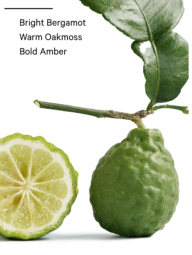 Подарочный набор Daring от Victoria’s Secret для путешествий 1159848934 (Зеленый One size)