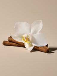 Подарочный набор Spiced Vanilla Cream Feel Toasty Victoria’s Secret мист и лосьон 1159853327 (Коричневый 88 ml/88 ml)