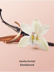Подарочный набор Vanilla Orchid Sandalwood Victoria’s Secret мист и лосьон 1159853331 (Синий/Бежевый 88 ml/88 ml)