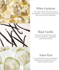 Подарунковий набір Tease Victoria's Secret лосьйон та парфум 1159856370 (Рожевий One size)