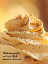 Великий подарунковий набір для тіла від Victoria's Secret 1159859049 (Різні кольори One Size)