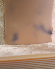 Женские высокие сапоги Braden Michael Kors 37 (7 US) 25,5 см Коричневый 1159847590