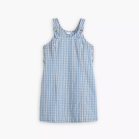 Женское мини-платье Levi's сарафан в клетку 1159842665 (Синий/Белый S)