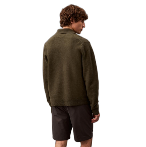 Мужские шорты Calvin Klein 1159845904 (Серый 42W)