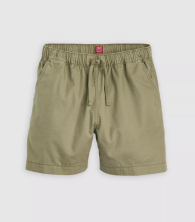 Мужские шорты Levi's XX Chino Easy 1159846001 (Зеленый M)