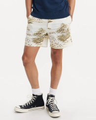 Чоловічі шорти чинос Levi's з принтом 1159851029 (Різні кольори 38)