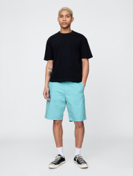 Мужские шорты GAP 1159855397 (Бирюзовый 31)