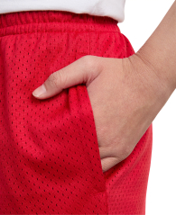 Шорты детские Nike Jordan 1159858986 (Красный XL) на рост 163-175 см