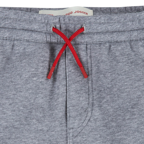 Детские джоггеры на флисе Levi's 1159843107 (Серый 5) на рост 104-110 см