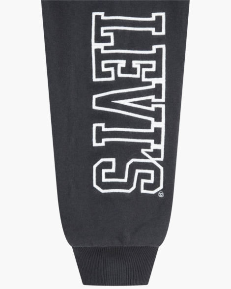 Дитячі джоггери на флісі Levi's спортивні штани 1159857028 (Сірий 7X) на зріст 122-128 см