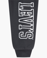 Дитячі джоггери на флісі Levi's спортивні штани 1159857028 (Сірий 7X) на зріст 122-128 см