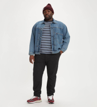 Мужские штаны XX Chino Levi's 1159840444 (Черный W38 L36)