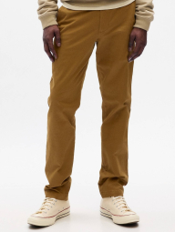 Чоловічі штани GAP Flex Straight Fit легкі штани 1159858978 (Коричневий 33W 34L)