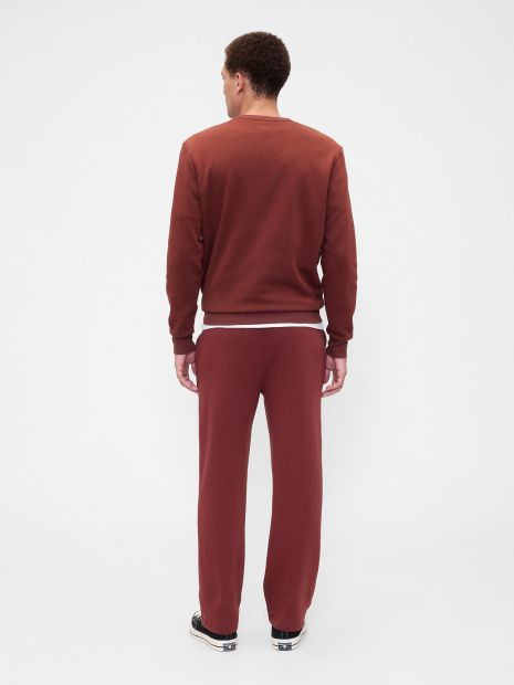 Мужской спортивный костюм на флисе GAP свитшот и штаны 1159847170 (Коричневый L)
